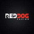 Red Dog Casino